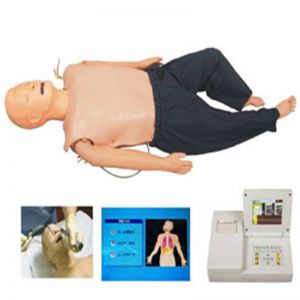 Senior multifunctional adult first aid training simulator